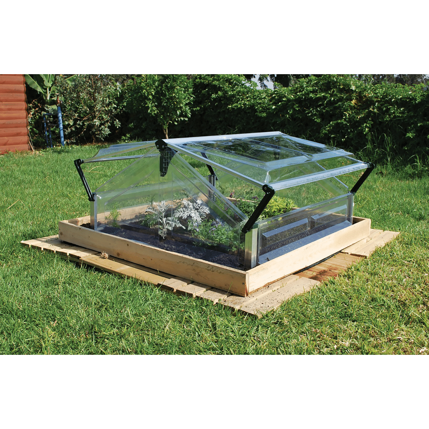 Double Cold Frame Greenhouse 3x3' 105x108cm » Tip Top Yards